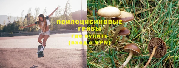 гидра Алексин