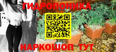 индика Кимры