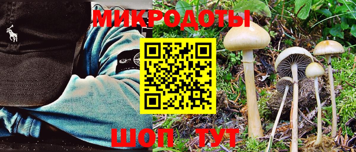Псилоцибиновые грибы мицелий Магнитогорск